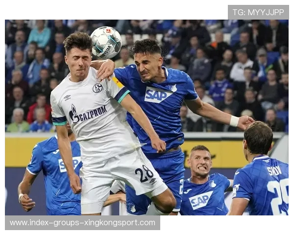 沙尔克04—博阿滕头球解围化险为夷