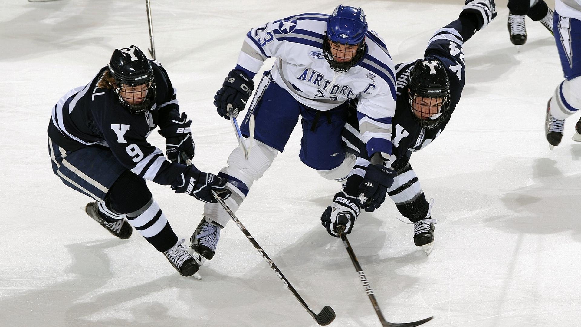 世界羽毛球赛事最新消息